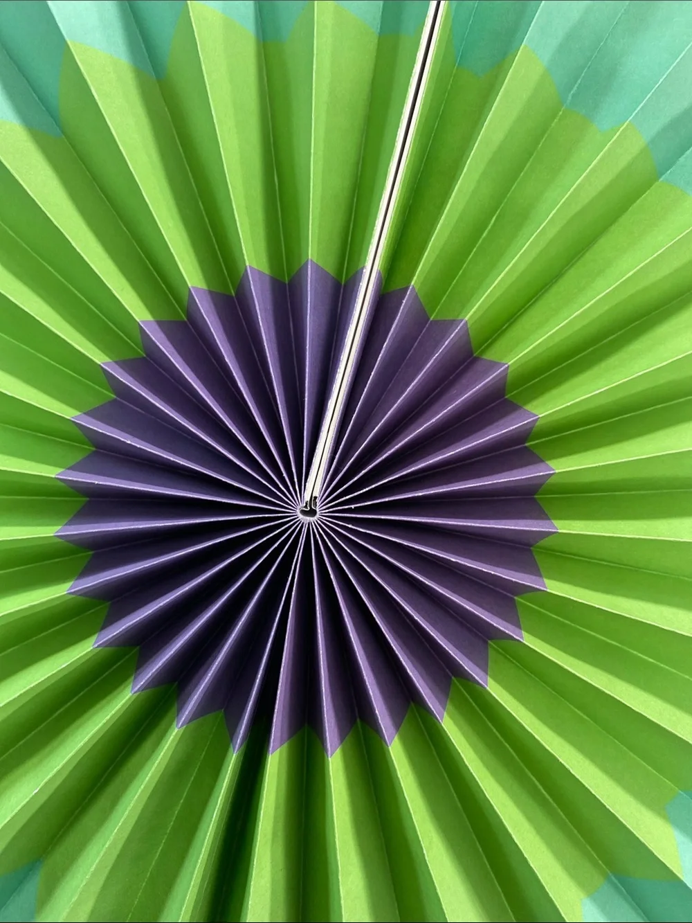 Colorful Fiesta Paper Rosette Fans & Cutout Triangle Bunting - Multicolor